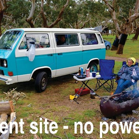 Bimbi Park - Camping Under Koalas Cape Otway Eksteriør billede