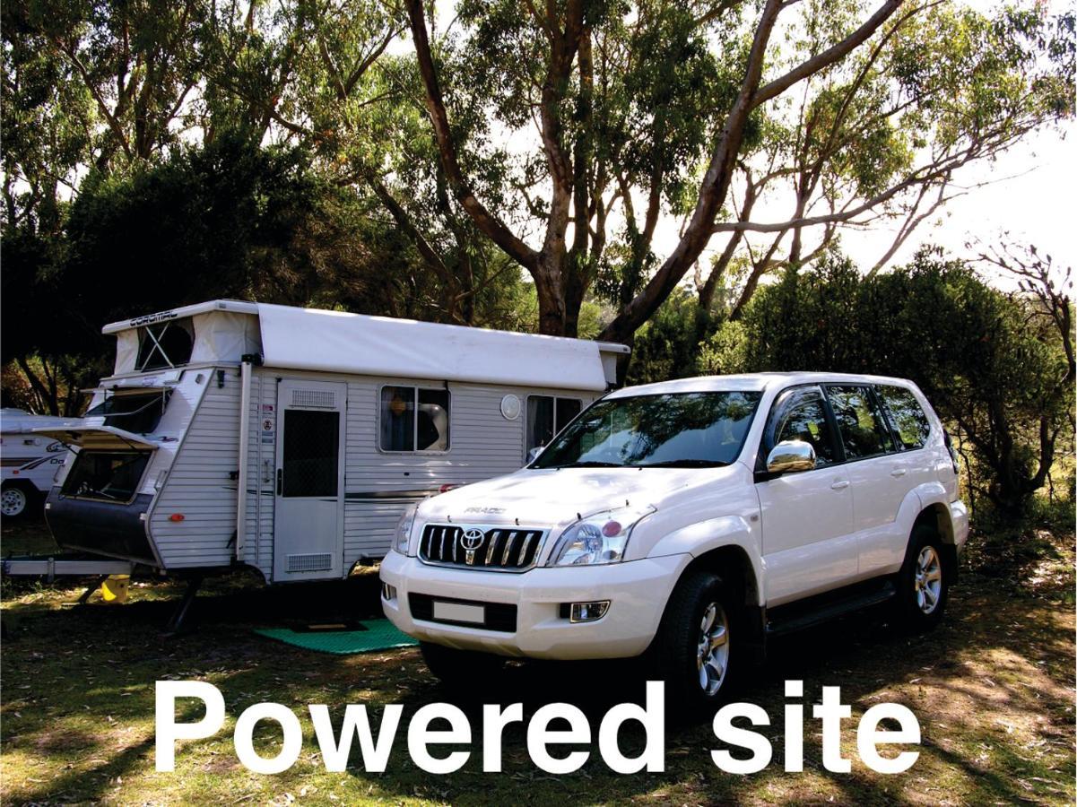 Bimbi Park - Camping Under Koalas Cape Otway Eksteriør billede