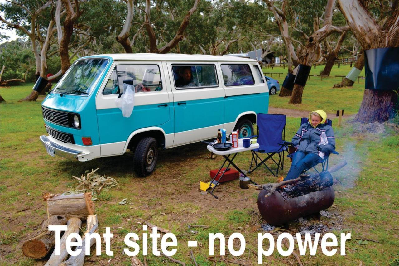 Bimbi Park - Camping Under Koalas Cape Otway Eksteriør billede