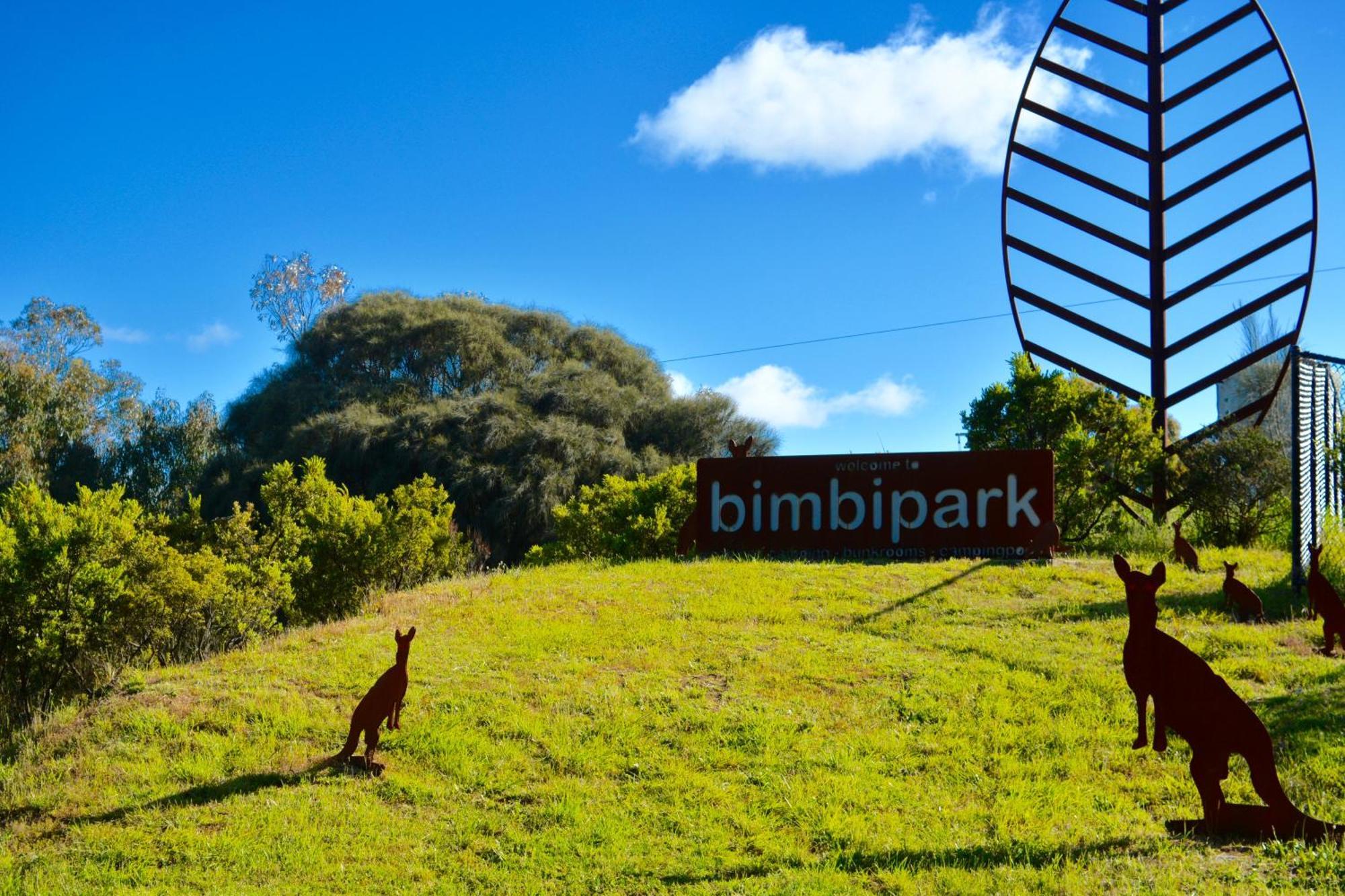 Bimbi Park - Camping Under Koalas Cape Otway Eksteriør billede