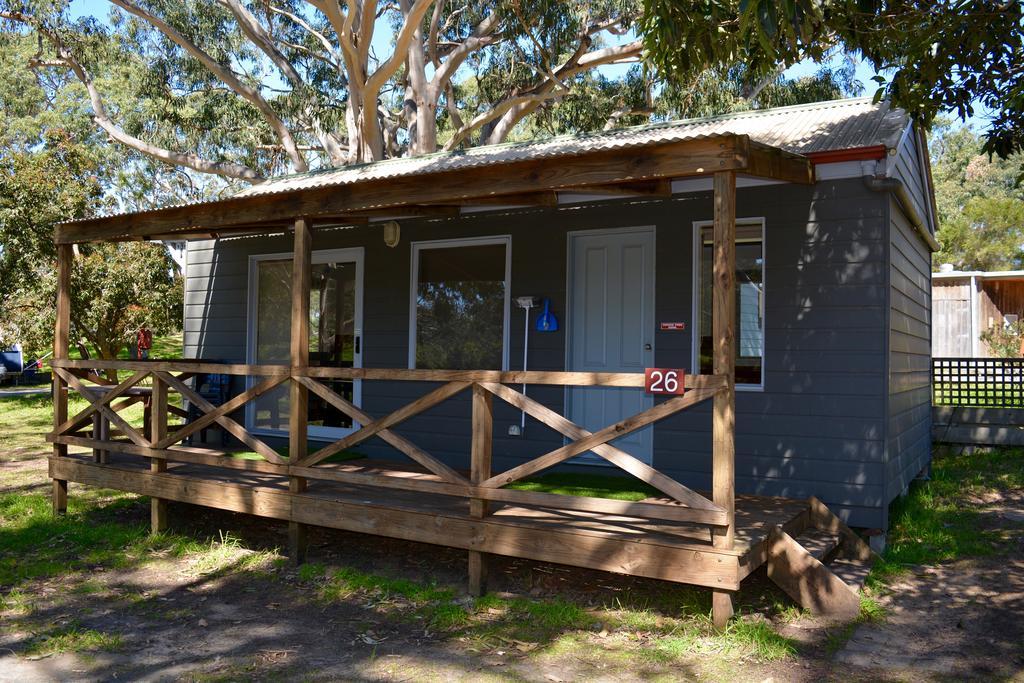 Bimbi Park - Camping Under Koalas Cape Otway Eksteriør billede