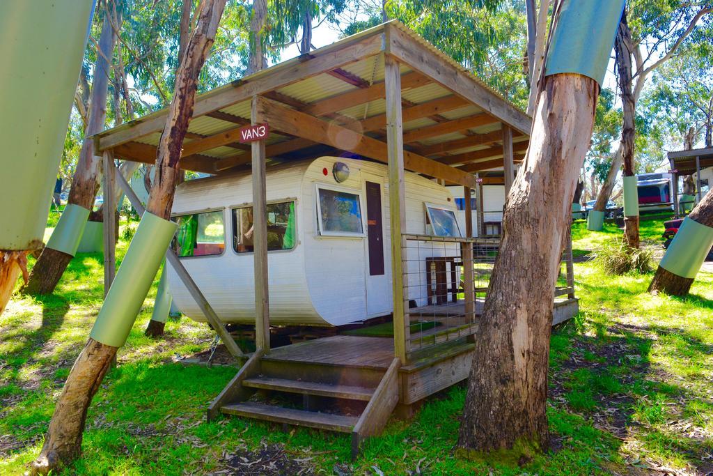 Bimbi Park - Camping Under Koalas Cape Otway Eksteriør billede