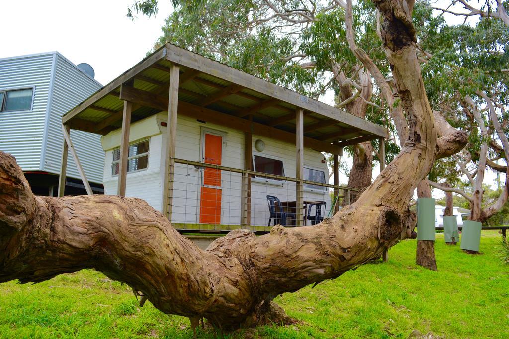 Bimbi Park - Camping Under Koalas Cape Otway Eksteriør billede