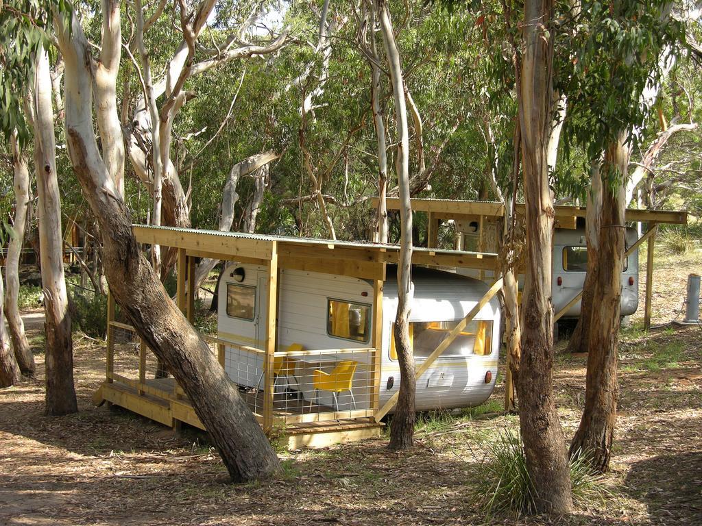 Bimbi Park - Camping Under Koalas Cape Otway Eksteriør billede