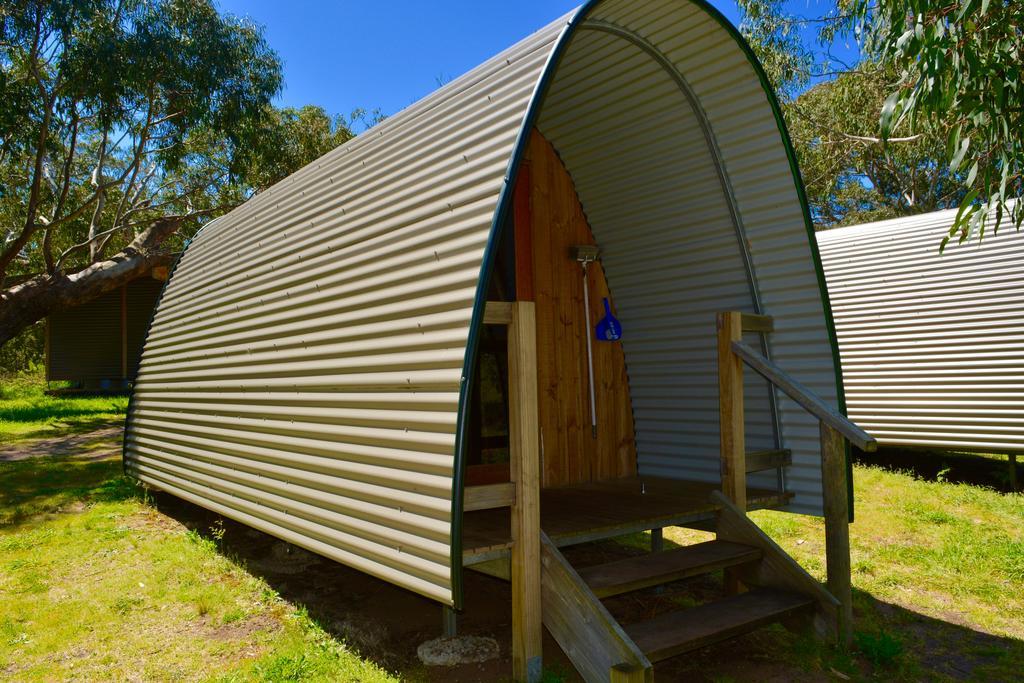 Bimbi Park - Camping Under Koalas Cape Otway Eksteriør billede