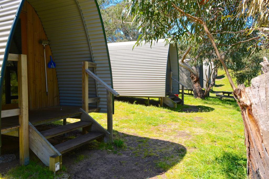 Bimbi Park - Camping Under Koalas Cape Otway Eksteriør billede