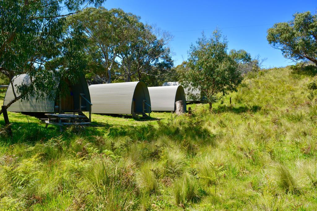 Bimbi Park - Camping Under Koalas Cape Otway Eksteriør billede