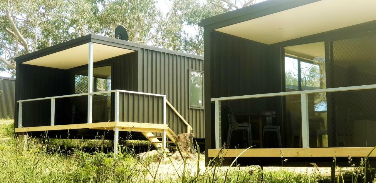 Bimbi Park - Camping Under Koalas Cape Otway Eksteriør billede